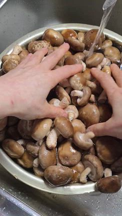 自分で干し椎茸作って「味覚・嗅覚」豊かな食生活してます！の記事動画