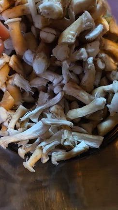 自分で干し椎茸作って「味覚・嗅覚」豊かな食生活してます！の記事動画