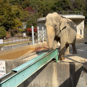 東公園への画像