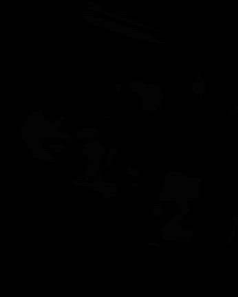 2024/02/20の記事動画
