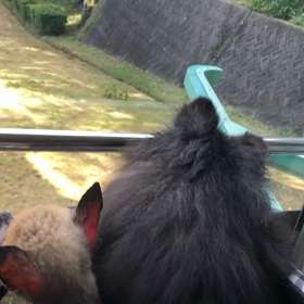 放置すみませんm(_ _)mの画像