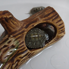 水道管の工事の画像