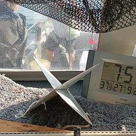 メッチャ釣れてましたよ〜の画像