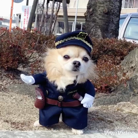 今日は110番の日！の画像
