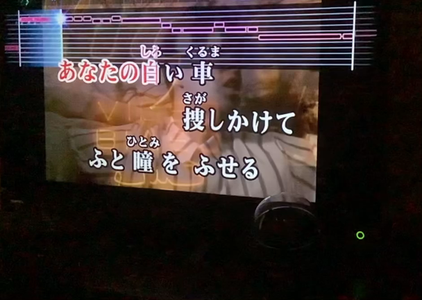 子供の全力看病ロンリネス。の記事動画