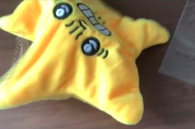 新年の挨拶と最後の荒ぶりの記事動画