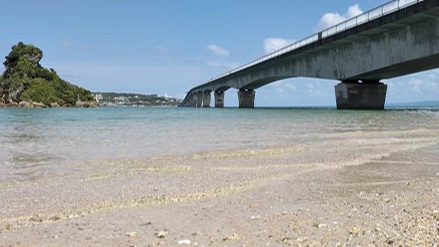 いとこに手を合わせに沖縄本島にの記事動画