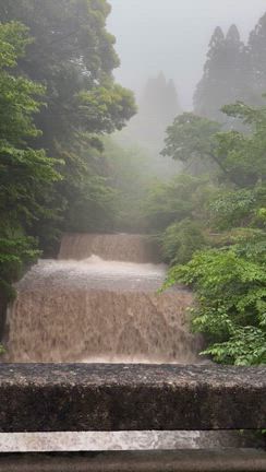 癒し系　霧島ホテルの魅力　銀座のママのGW奄美大島&霧島　の記事動画