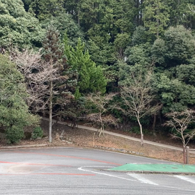 R-SYSの恩恵の画像