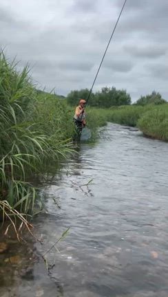 栃木県の那珂川上流へ鮎釣り！「あわや」を感じた金曜日の記事動画