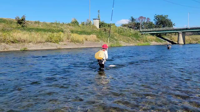 今日の色々。の記事動画