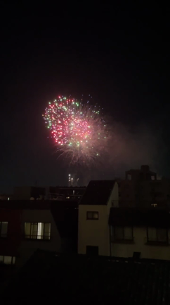 東京の夏の記事動画