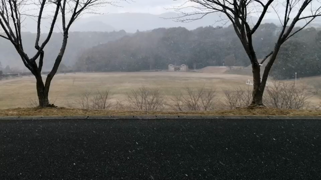 少し雪が降りましたの記事動画