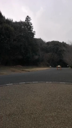 少し雪が降りましたの記事動画