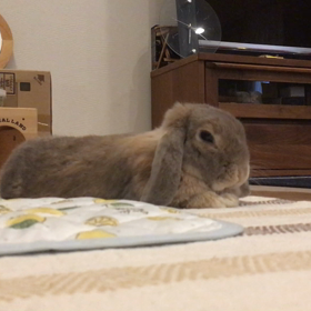 眠くなんてないもん！の画像