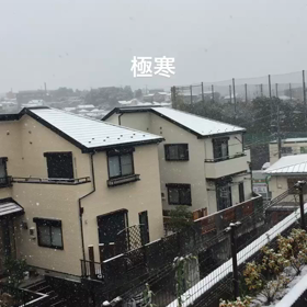 雪降ったねの画像