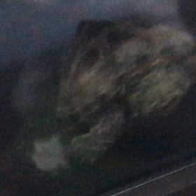 餌くれダンス。の画像