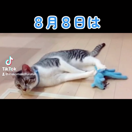 ８月８日記念日の記事動画