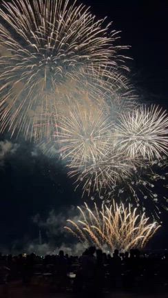 夏の思い出〜花火の記事動画
