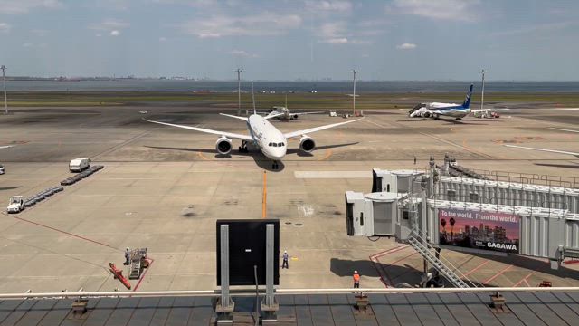 短いシーズンに合わせての記事動画