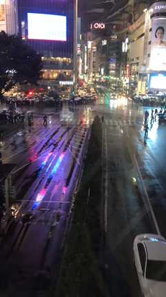 秋色マイネイルの記事動画