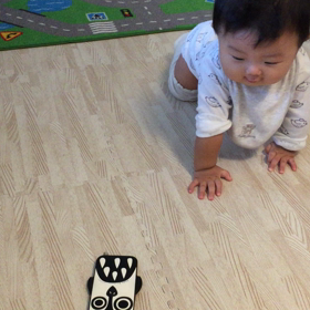 ハイハイ動画♡の画像