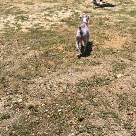 あーちゃんの大きな一歩の画像