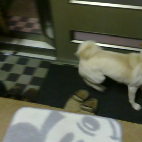 お帰り～の画像