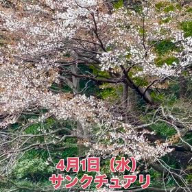 2026/04/01の画像