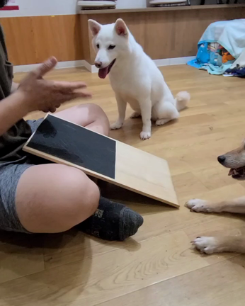 I hate nail clippers ... Are you in trouble if yの記事動画