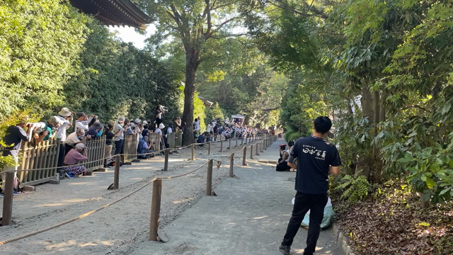 寒川神社！流鏑馬！現場レポート！の記事動画
