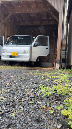 ちょっとインフォメーションの記事動画