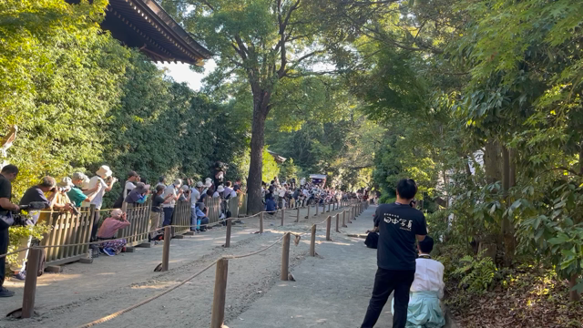 寒川神社！流鏑馬！現場レポート！の記事動画