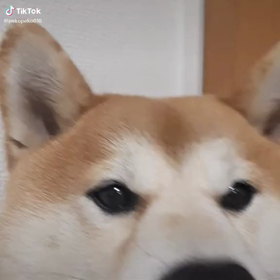 きよしこの夜の画像