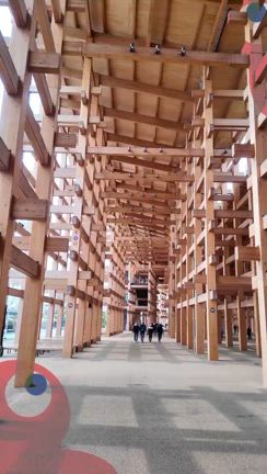 EXPO2025 日本国際芸術祭の記事動画
