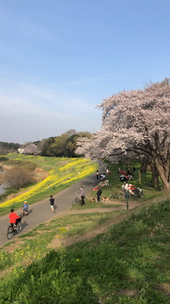 3月29日天秤座満月&3月31日最高な開運日！の記事動画