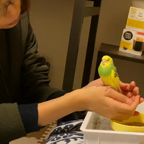 おつかれたま。の画像