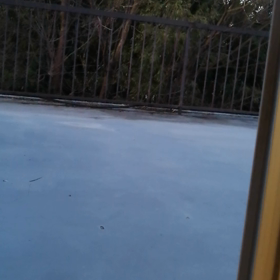 鳥の声の画像