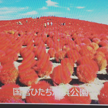 月を見に行こうの記事動画