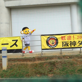 名護キャンプを振り返る①の画像