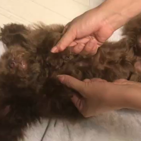 寝てる時ってたまらないの画像