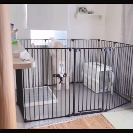【もふもふ犬】近所の人に白くまと間違われましたの記事動画