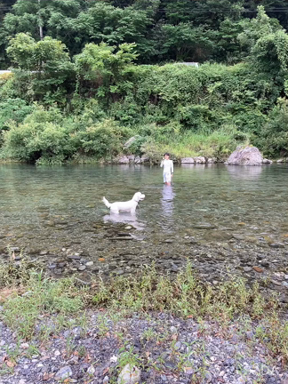 穴吹川で愛犬とはじめてのデイキャンプの記事動画
