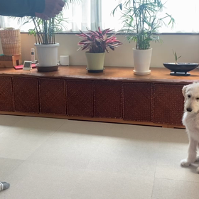 ナイスキャッチ‼︎の画像