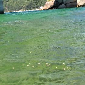 海中散歩(^_^)の画像