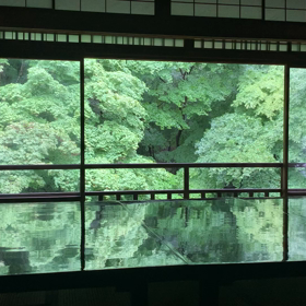 雨の瑠璃光院の画像