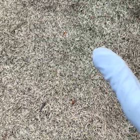 右手グローブ（両手グローブ）はじめましたの画像