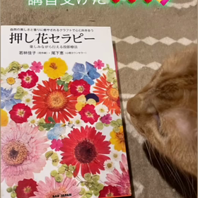 2023/12/12の画像