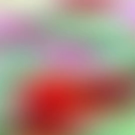 2023/11/19の画像