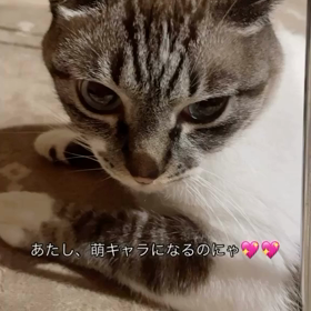 2023/12/06の画像